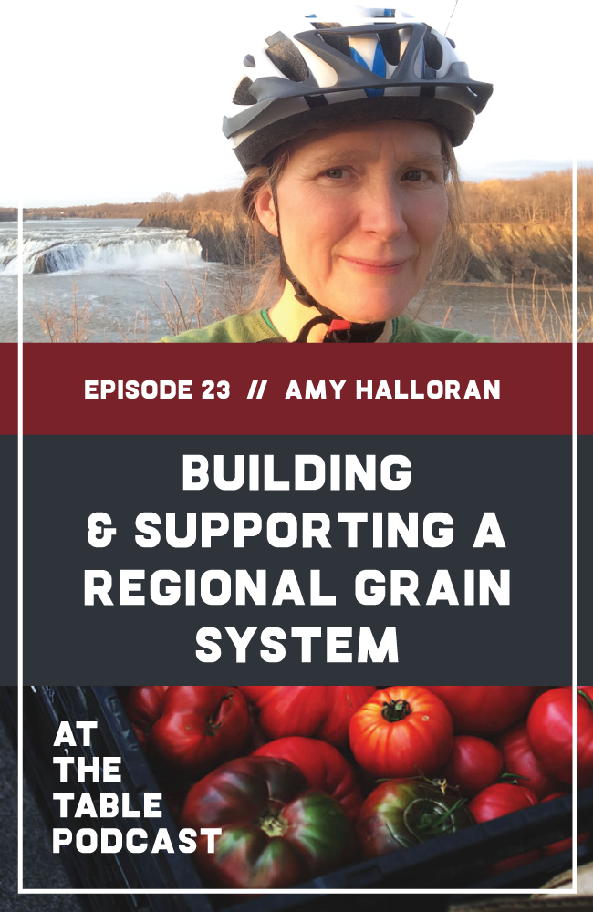 What's the difference between commercial and artisan flour? How do our staple crops influence our lives? These are just a few of the questions Amy Halloran, author of The New Bread Basket, answers in our latest episode.